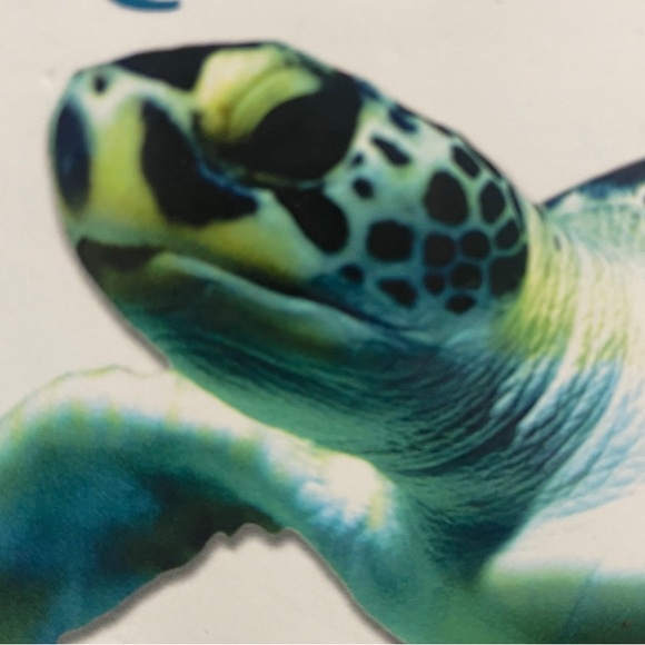 Meet your Posher, Mandy - Picture 1 of 1